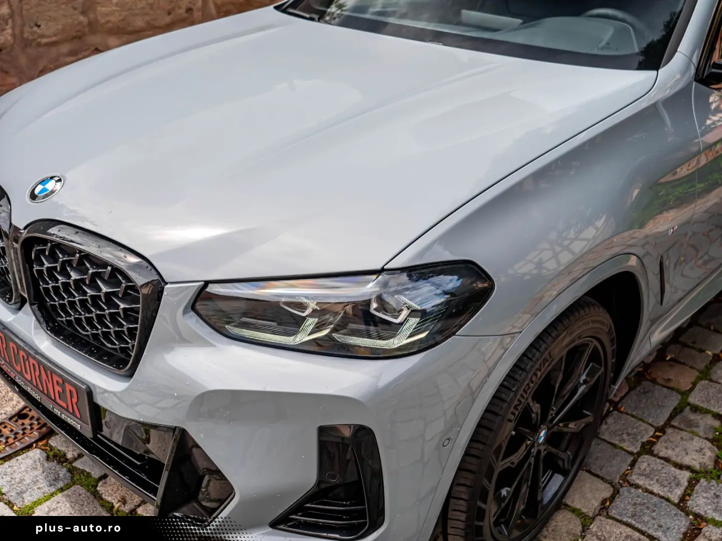 BMW X4 xDrive20d M Sport PANO KAMERA Brooklyn 20ZOLL