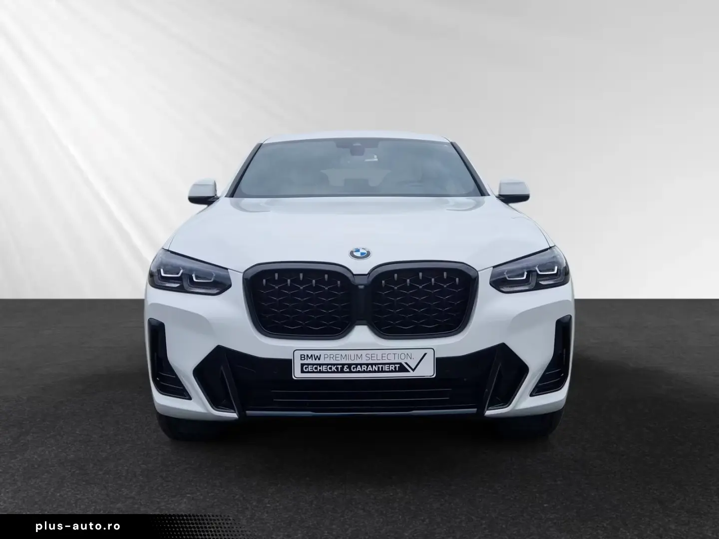 BMW X4 xDrive20d M Sport HiFi DrivingAssistant LC