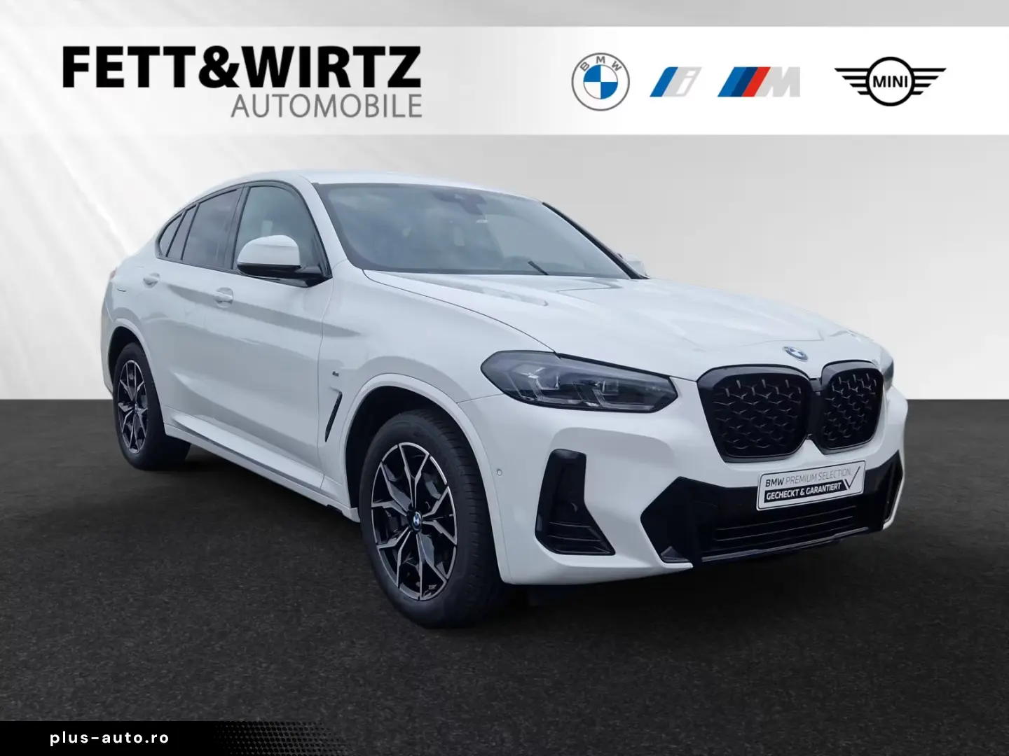 BMW X4 xDrive20d M Sport HiFi DrivingAssistant LC