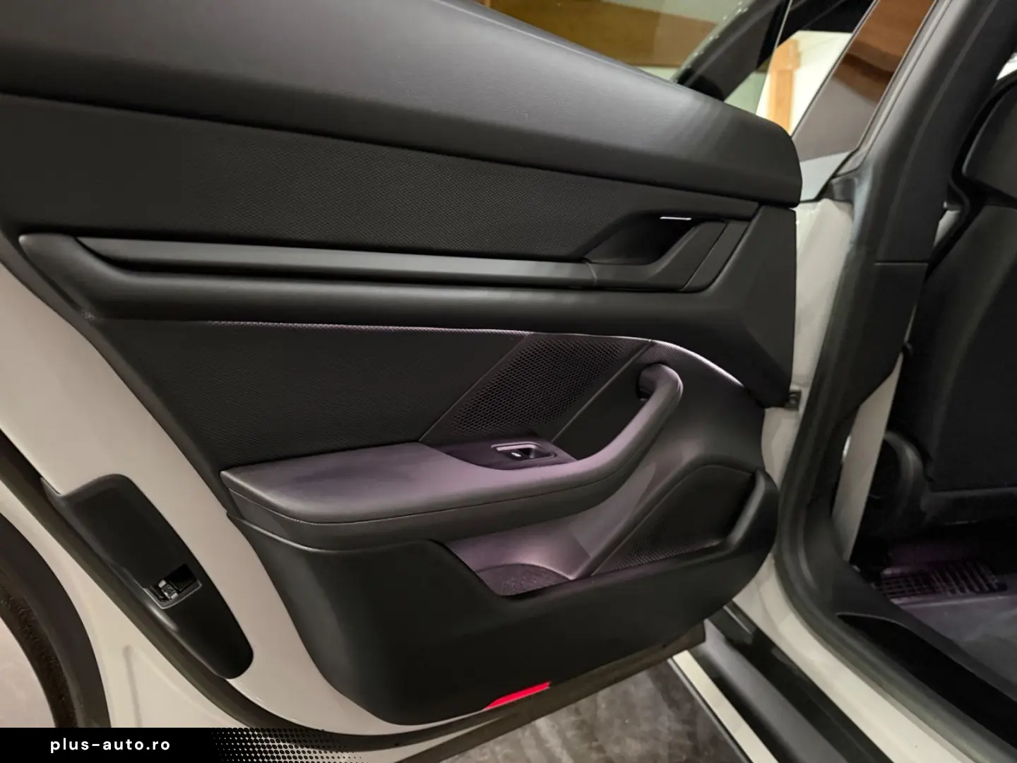 PORSCHE Taycan Kreide Beifahrer Display Perf. Battery