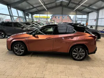 LEXUS UX 300 h E-Four Sport Design Navi Leder