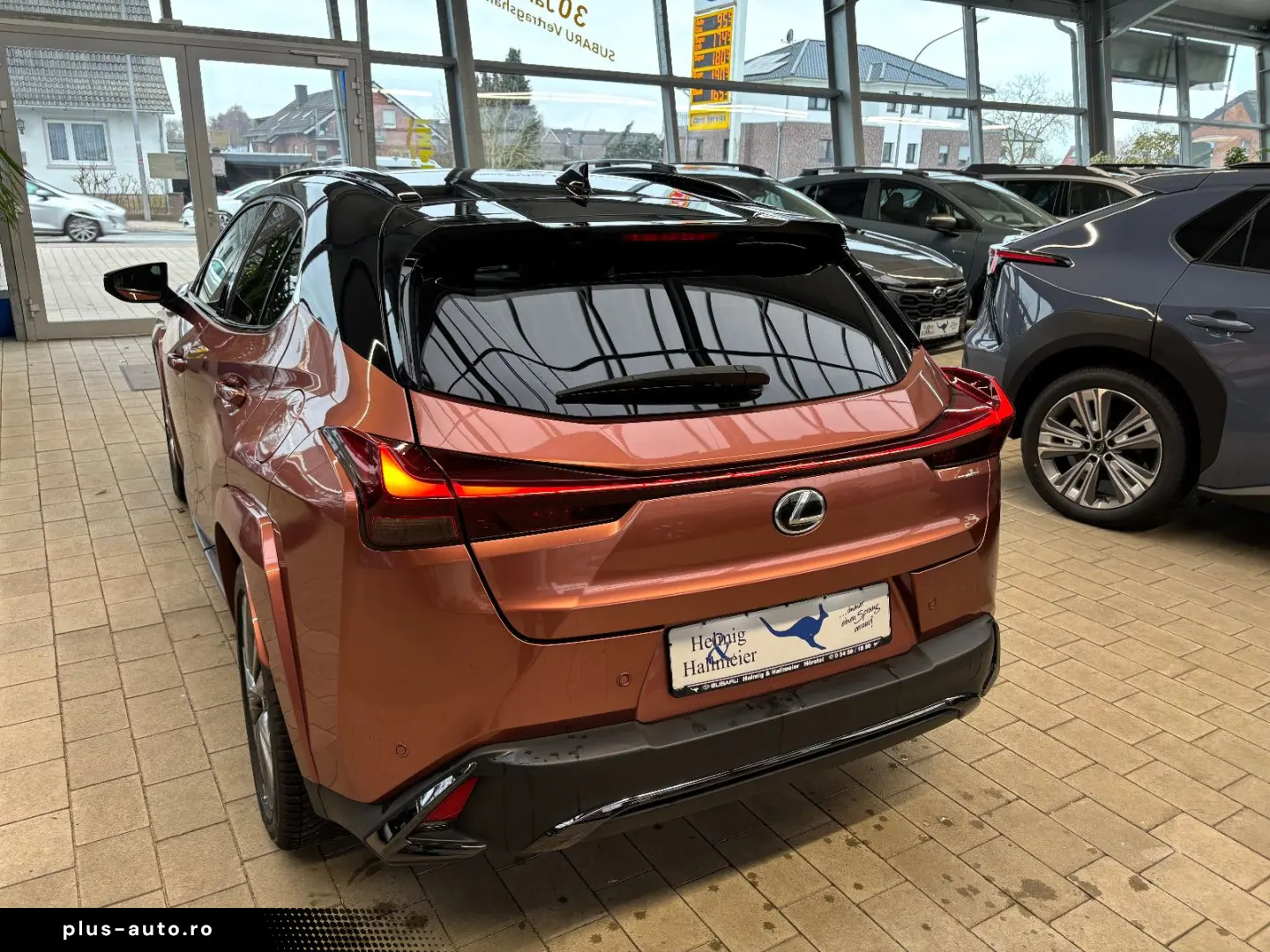 LEXUS UX 300 h E-Four Sport Design Navi Leder