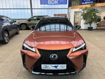 LEXUS UX 300 h E-Four Sport Design Navi Leder