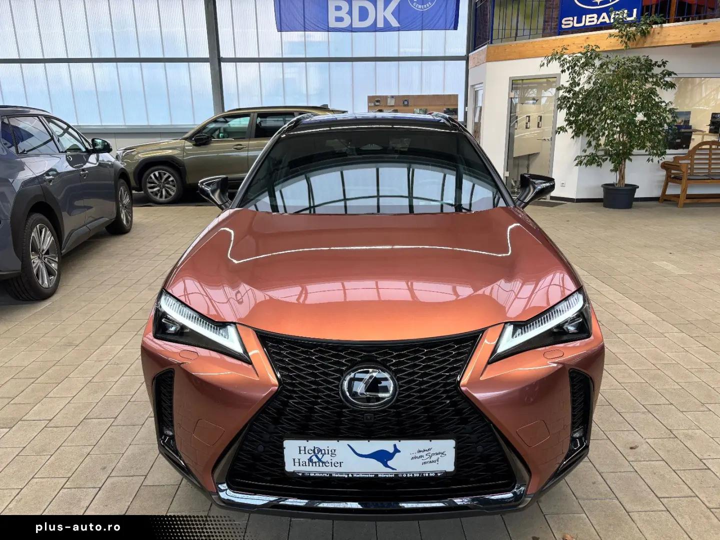 LEXUS UX 300 h E-Four Sport Design Navi Leder