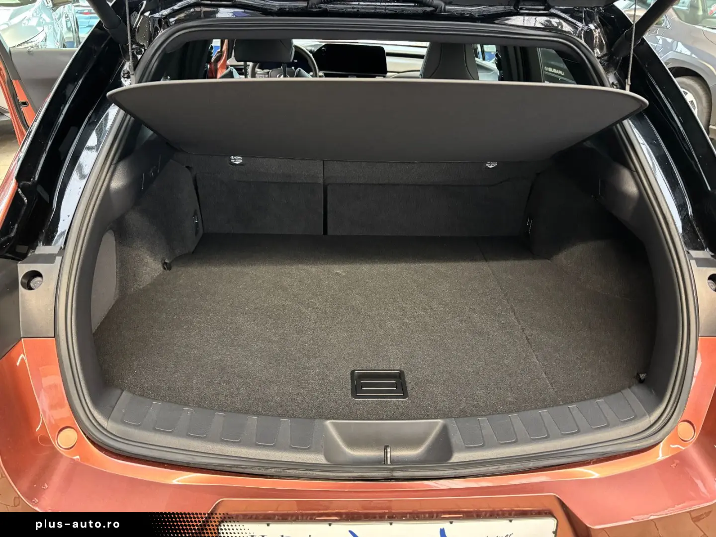 LEXUS UX 300 h E-Four Sport Design Navi Leder