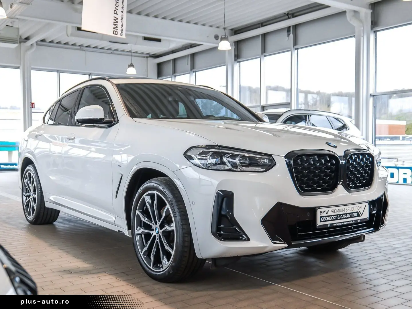 BMW X4 xDrive20i M-Sport Pano Hifi 20Zoll DrivingA.