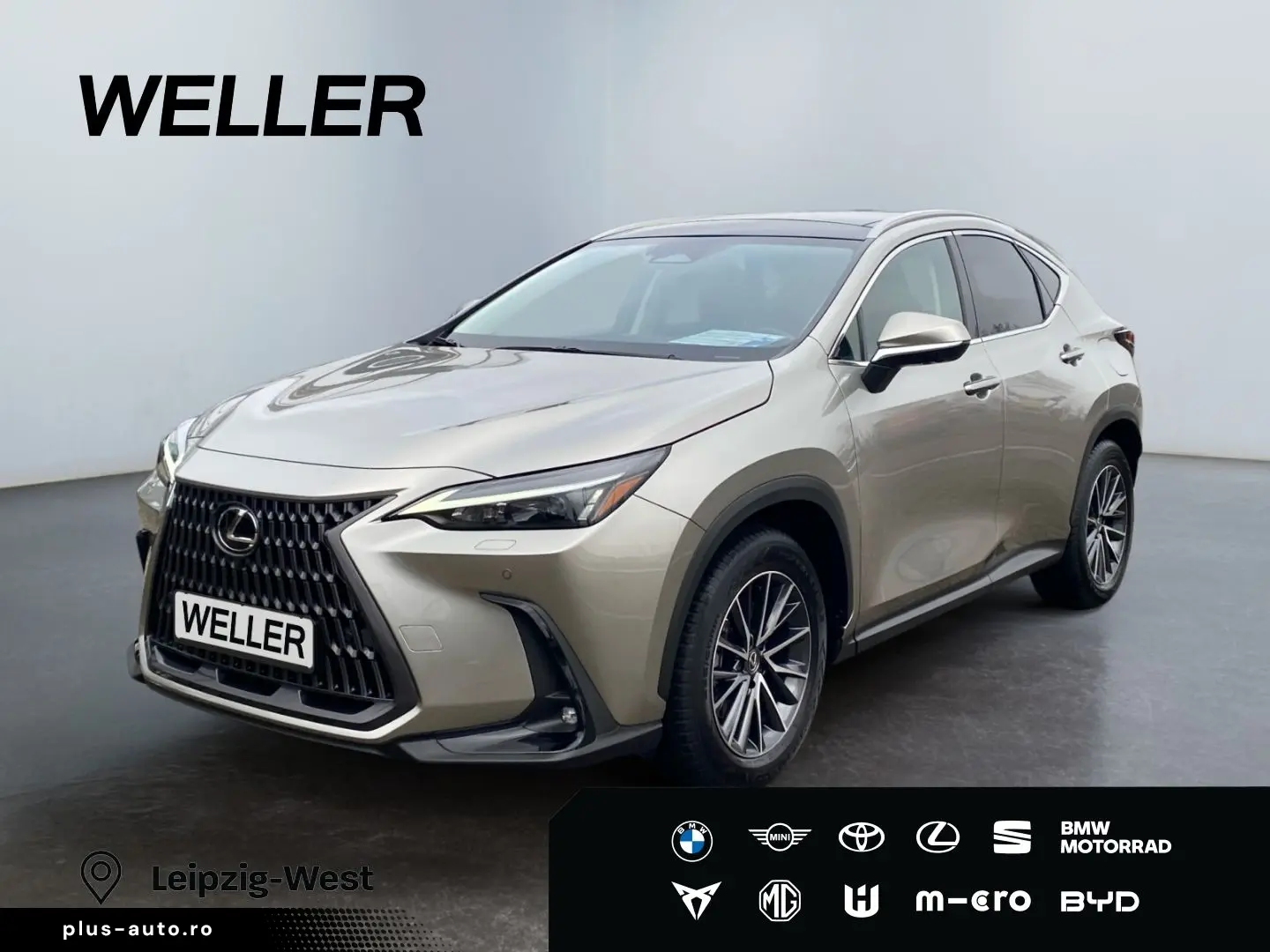 LEXUS NX 350h Executive Line  Bi-LED Pano Leder 360 HU