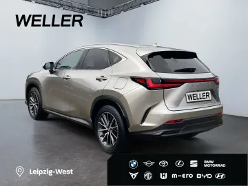 LEXUS NX 350h Executive Line  Bi-LED Pano Leder 360 HU