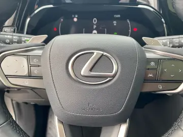 LEXUS NX 350h Executive Line  Bi-LED Pano Leder 360 HU