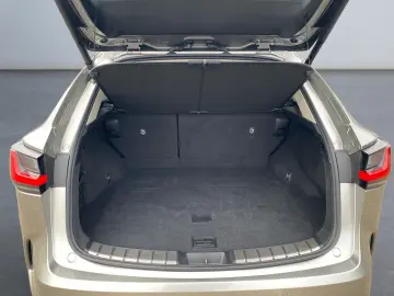 LEXUS NX 350h Executive Line  Bi-LED Pano Leder 360 HU
