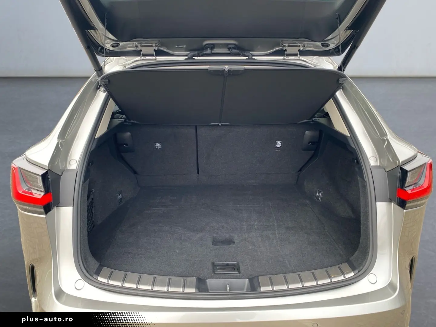 LEXUS NX 350h Executive Line  Bi-LED Pano Leder 360 HU