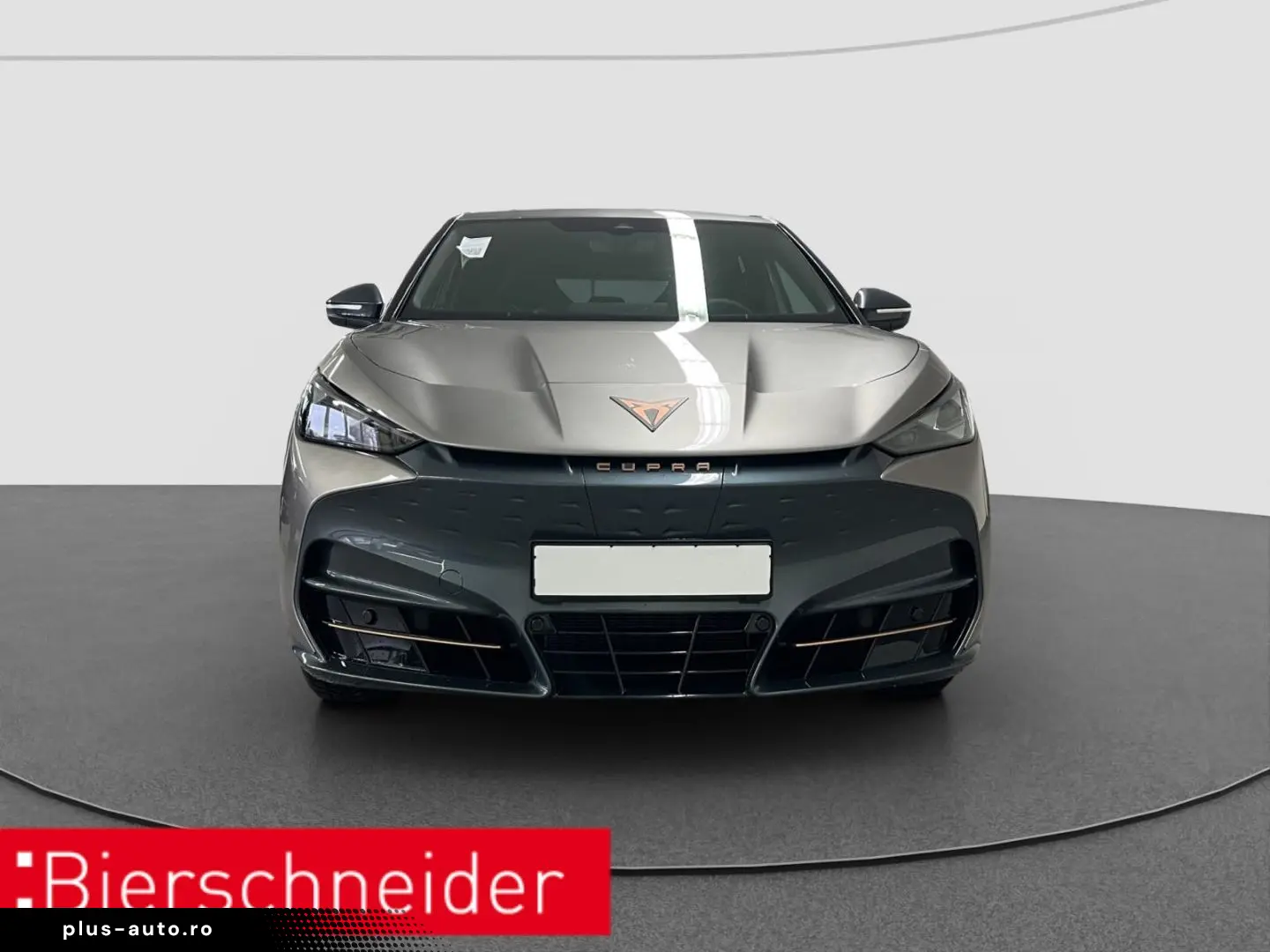 CUPRA Tavascan Endurance ab 329 - EUR mtl. KAMERA ACC