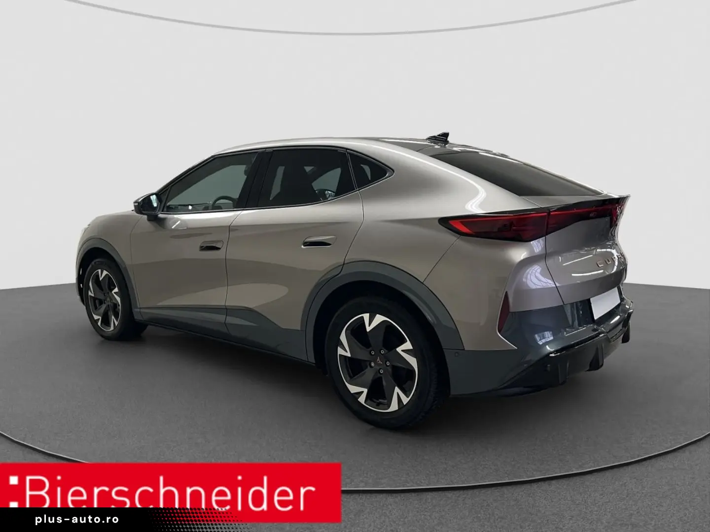 CUPRA Tavascan Endurance ab 329 - EUR mtl. KAMERA ACC