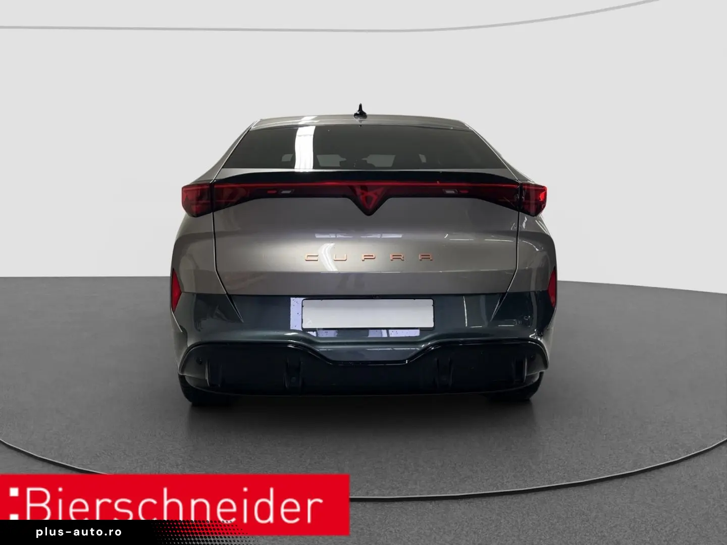 CUPRA Tavascan Endurance ab 329 - EUR mtl. KAMERA ACC