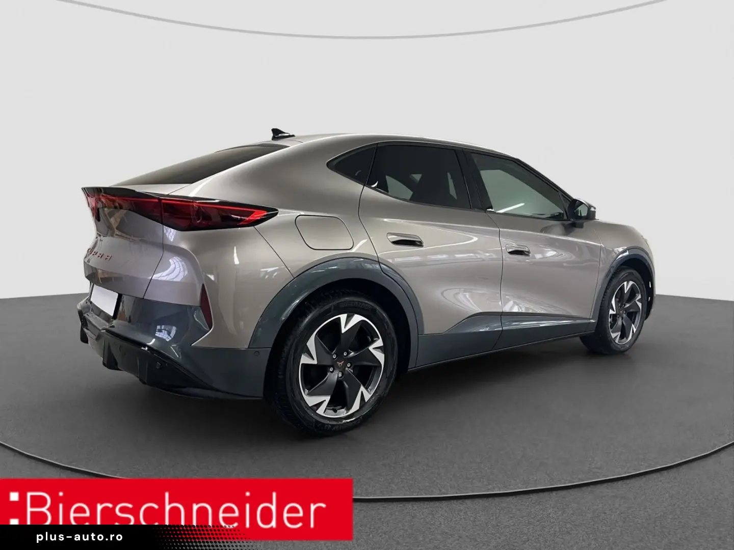 CUPRA Tavascan Endurance ab 329 - EUR mtl. KAMERA ACC