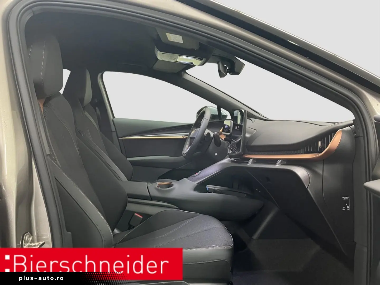 CUPRA Tavascan Endurance ab 329 - EUR mtl. KAMERA ACC