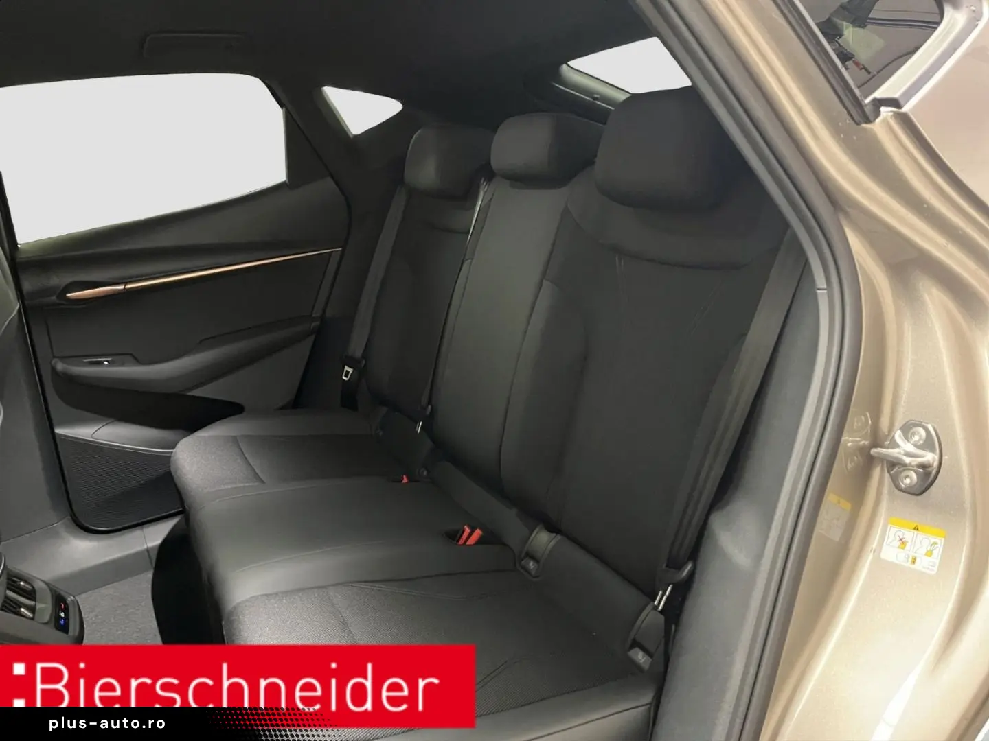 CUPRA Tavascan Endurance ab 329 - EUR mtl. KAMERA ACC