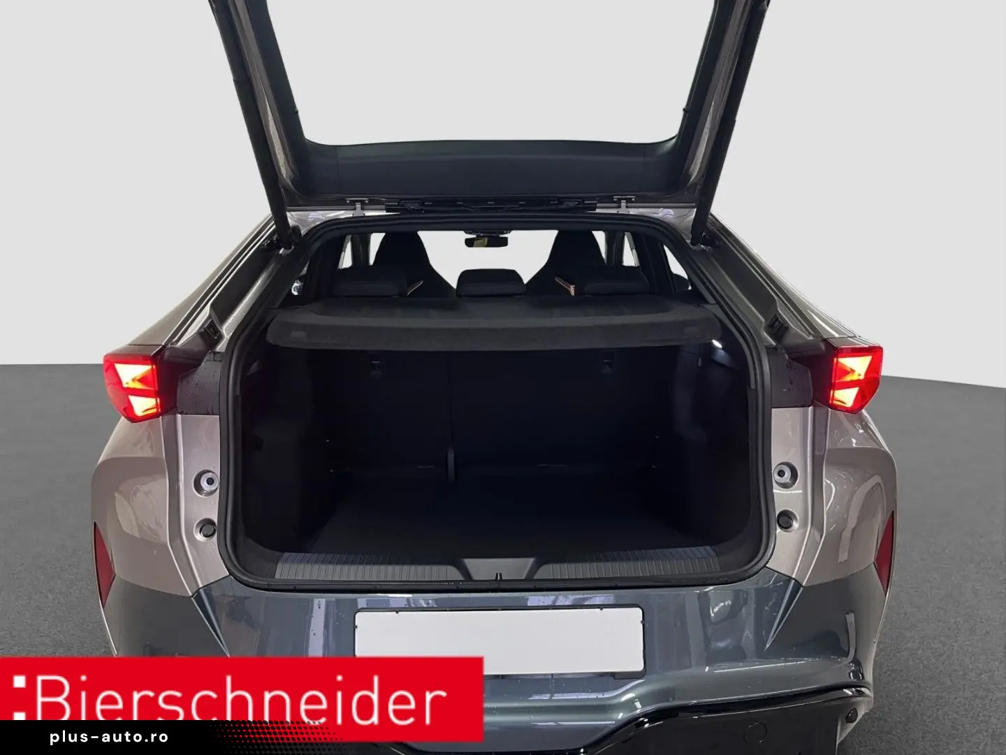 CUPRA Tavascan Endurance ab 329 - EUR mtl. KAMERA ACC