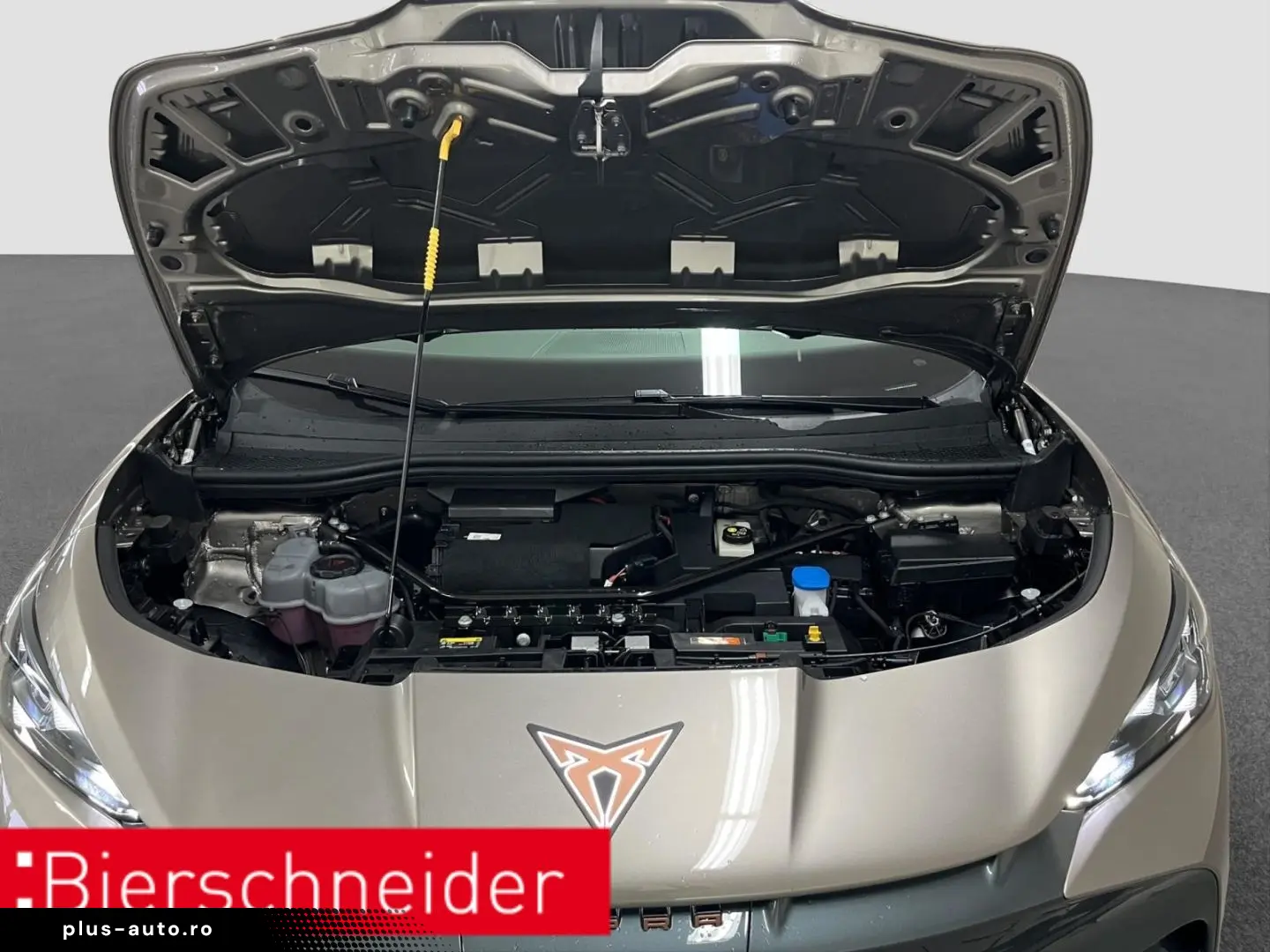 CUPRA Tavascan Endurance ab 329 - EUR mtl. KAMERA ACC