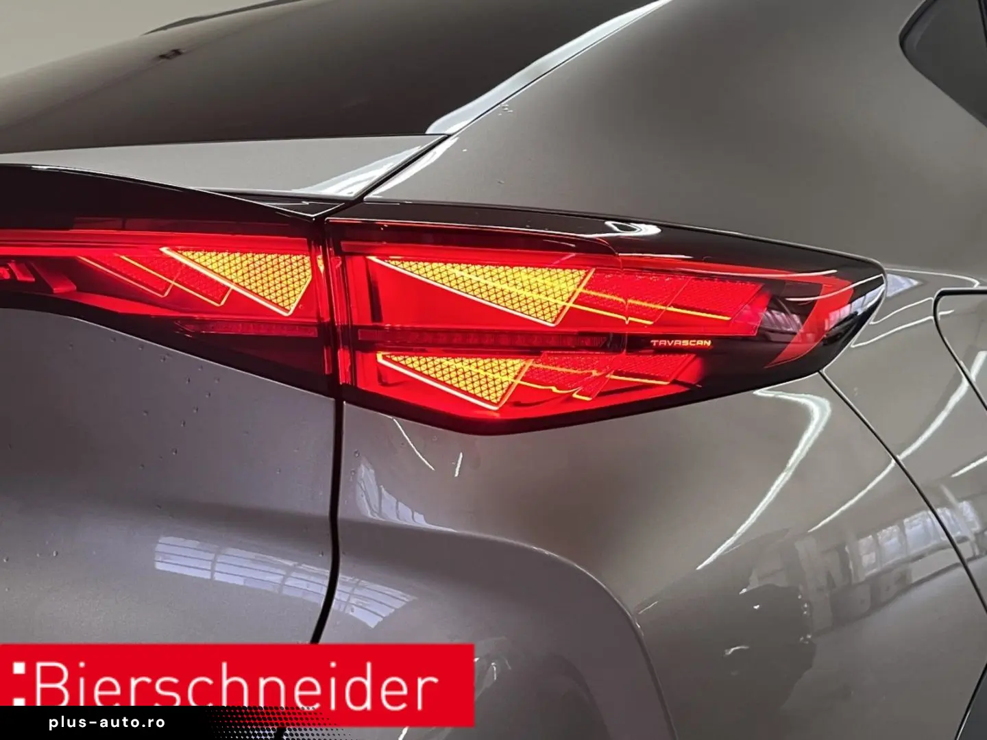 CUPRA Tavascan Endurance ab 329 - EUR mtl. KAMERA ACC