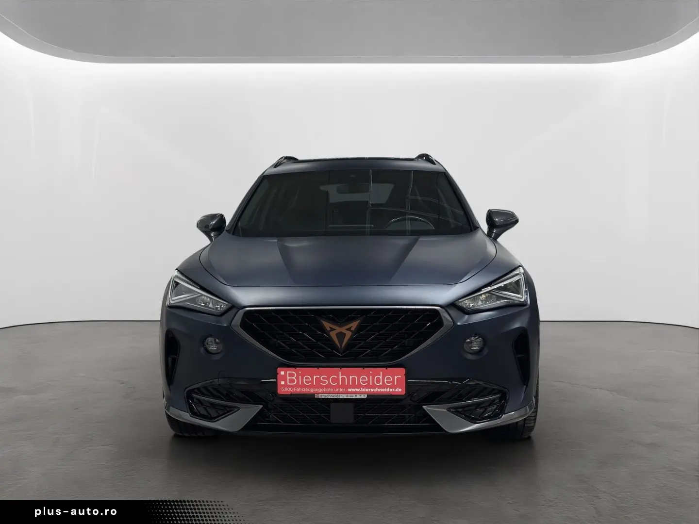 CUPRA Formentor 2.0 TDI DSG 4Drive MATT AHK PANORAMA 1