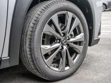 Lexus UX 300h F-Sport SHZ LEDER KAMERA NAVI ACC LED