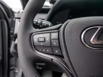 Lexus UX 300h F-Sport SHZ LEDER KAMERA NAVI ACC LED