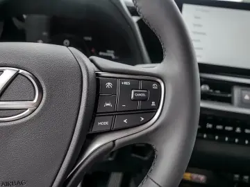 Lexus UX 300h F-Sport SHZ LEDER KAMERA NAVI ACC LED