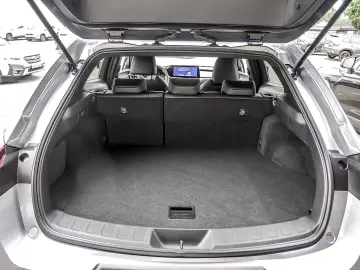 Lexus UX 300h F-Sport SHZ LEDER KAMERA NAVI ACC LED