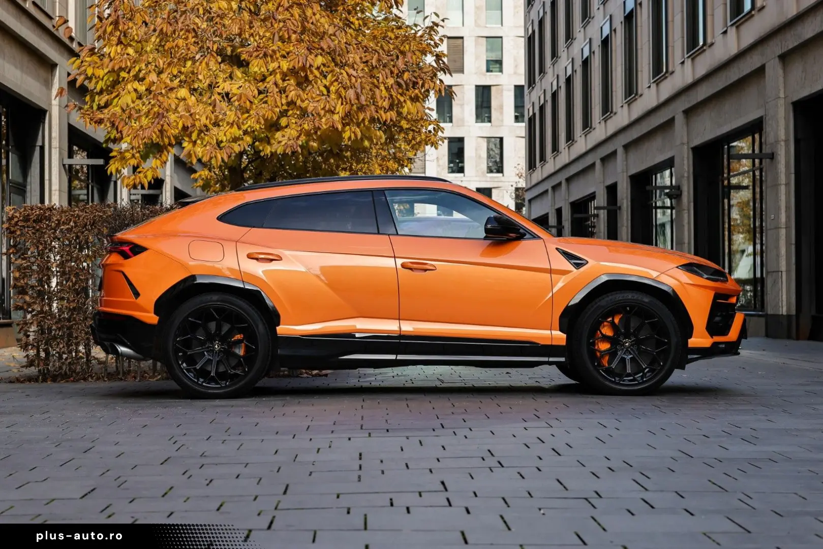 LAMBORGHINI Urus   Capsule   Head-Up   3D B&O   Q-Citura