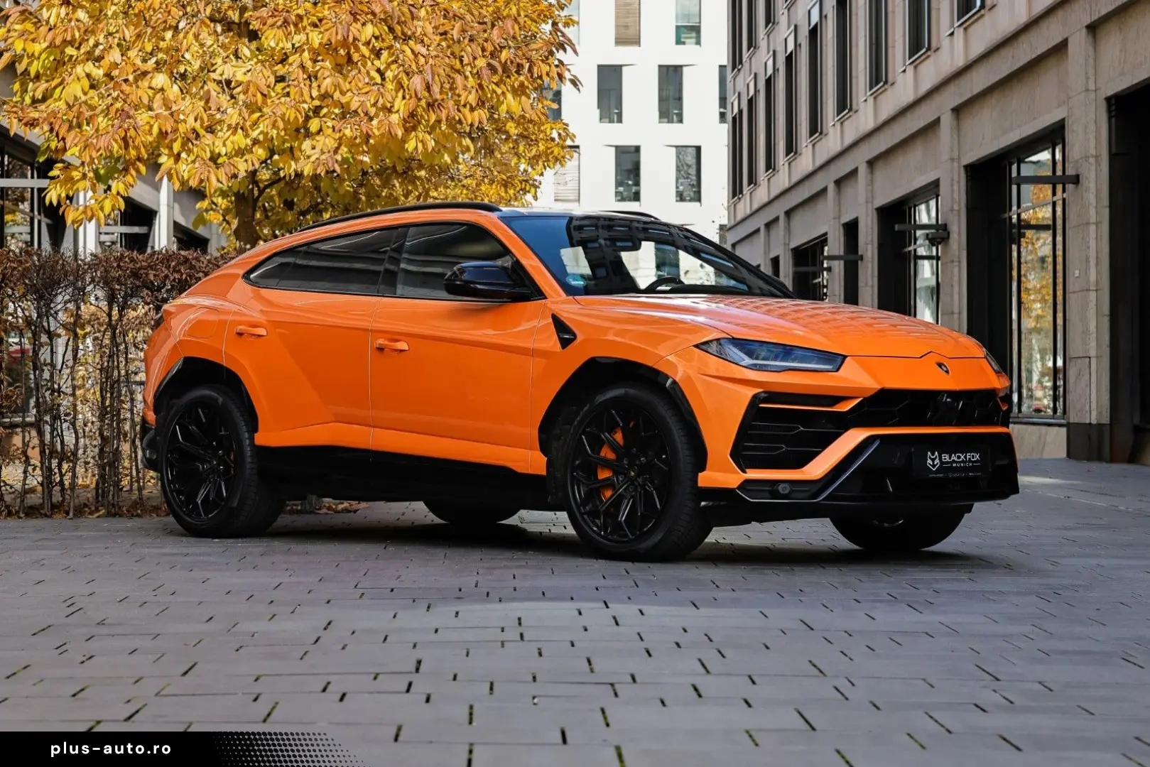 LAMBORGHINI Urus   Capsule   Head-Up   3D B&O   Q-Citura