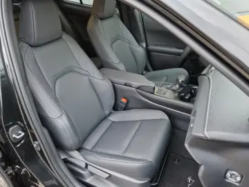 Lexus UX 300h F Sport Design ACC FLA SpurH LM