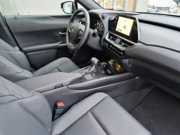 Lexus UX 300h F Sport Design ACC FLA SpurH LM