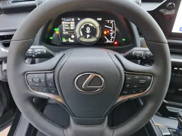 Lexus UX 300h F Sport Design ACC FLA SpurH LM
