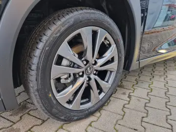 Lexus UX 300h F Sport Design ACC FLA SpurH LM