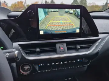 Lexus UX 300h F Sport Design ACC FLA SpurH LM