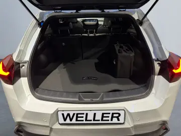 Lexus UX 300h F SPORT Design  LED ACC Camera SHZ PDC