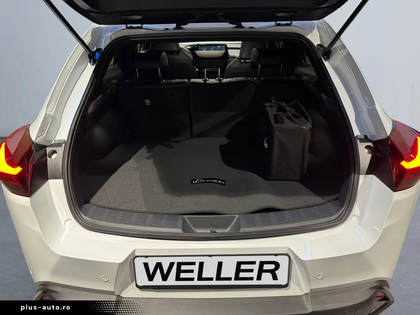 Lexus UX 300h F SPORT Design  LED ACC Camera SHZ PDC