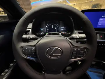 Lexus UX 300h F SPORT Design  LED ACC Camera SHZ PDC