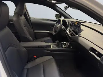 Lexus UX 300h F SPORT Design  LED ACC Camera SHZ PDC