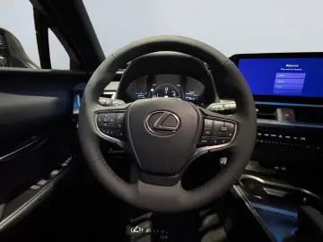 Lexus UX 300h F SPORT Design  LED ACC Camera SHZ PDC