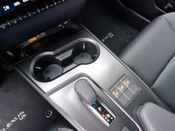 Lexus UX 300h F Sport Design ACC FLA SpurH LM