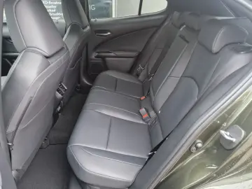 Lexus UX 300h F Sport Design ACC FLA SpurH LM