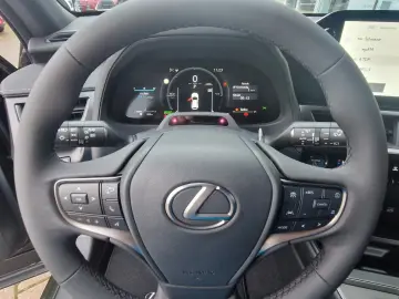 Lexus UX 300h F Sport Design ACC FLA SpurH LM