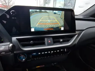 Lexus UX 300h F Sport Design ACC FLA SpurH LM