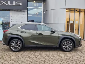 Lexus UX 300h F Sport Design ACC FLA SpurH LM
