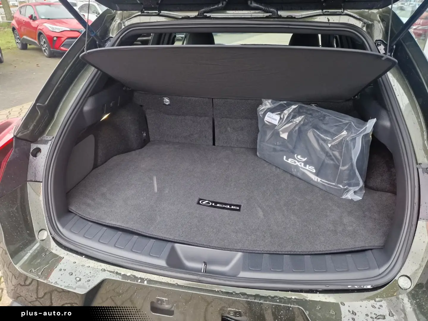 Lexus UX 300h F Sport Design ACC FLA SpurH LM