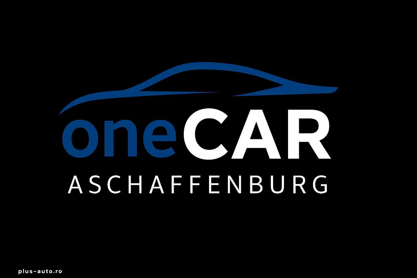 OPEL Vivaro Kasten Edition L3 Leder 2xWürth Klima