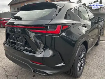 Lexus NX 350h E-Four Business NAVI BI-LED CarPlay