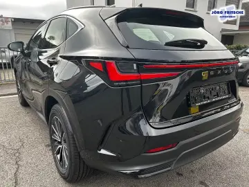 Lexus NX 350h E-Four Business NAVI BI-LED CarPlay